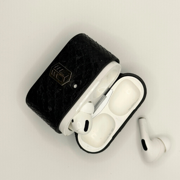 AirPods Pro Python Cases