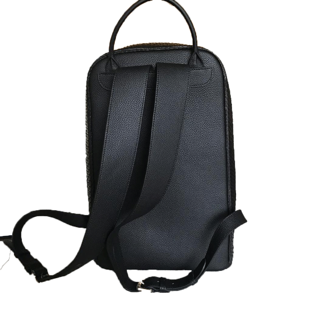Elemnt Python Backpack